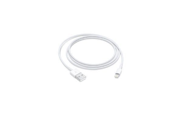 Apple Lightning to USB Cable (1 m)